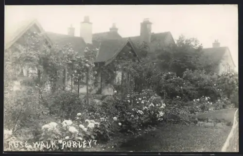 AK Purley, Rose Walk