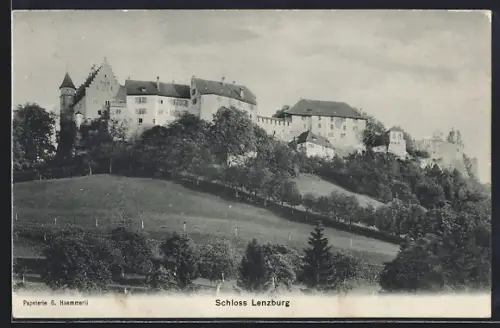 AK Lenzburg, Schloss Lenzburg mit Umgebung