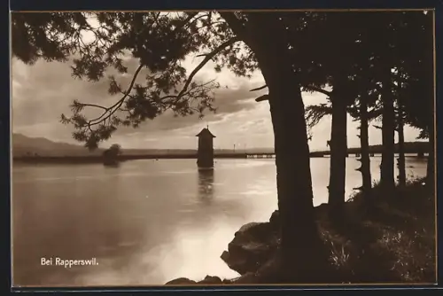 AK Rapperswil, Uferpartie mit Bäumen