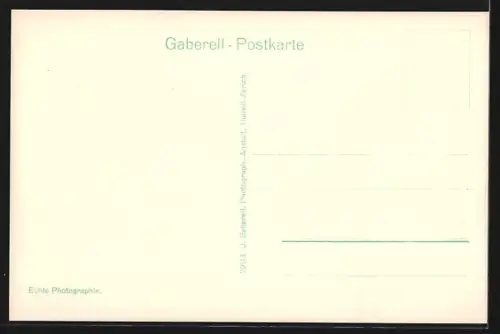 AK Rapperswil, Uferpartie mit Bäumen