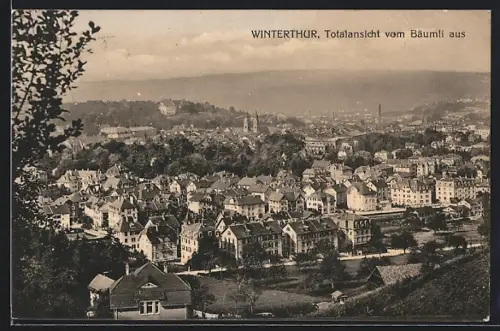 AK Winterthur, Totalansicht vom Bäumli aus