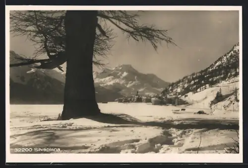 AK Silvaplana, Ortspartie mit Baum im Schnee