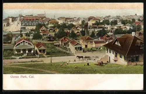 AK Ocean Park, CA, View of the city