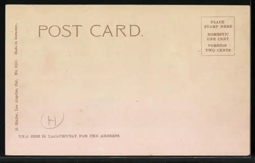 AK Ocean Park, CA, View of the city