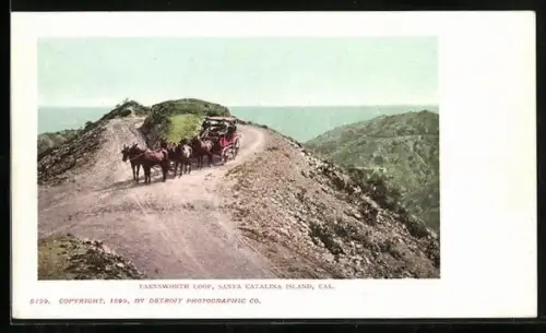 AK Santa Catalina Island, CA, Farnsworth Loop