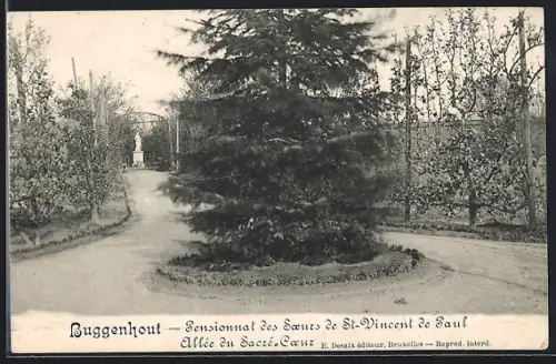 AK Buggenhout, Pensionnat des Soeurs de St-Vincent de Paul, Allée du Sacré-Coeur