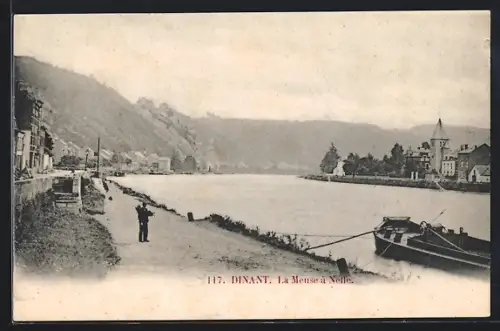 AK Dinant, La Meuse à Neffe
