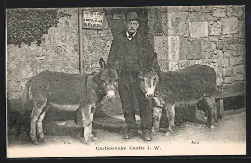 AK Carisbrooke Castle, The donkeys Ned and Jack