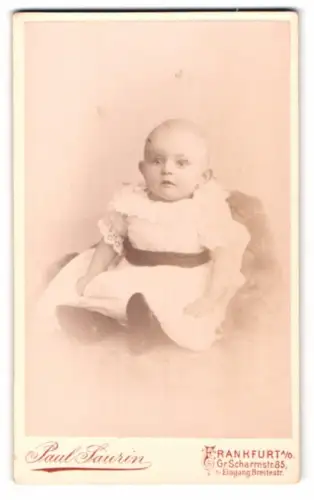 Fotografie Paul Saurin, Frankfurt a. O., Gr. Scharrnstrasse 85, Porträt eines kleinen Kindes