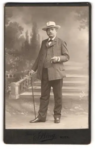 Fotografie Sigmund Bing, Wien, Goldschmidgasse 4, Herr mit Hut und Spazierstock