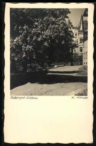 AK Liebau, Rittergut