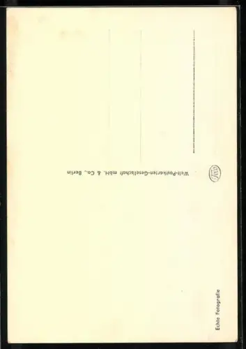 AK Oldenburg /Oldb., Partie am Rathaus
