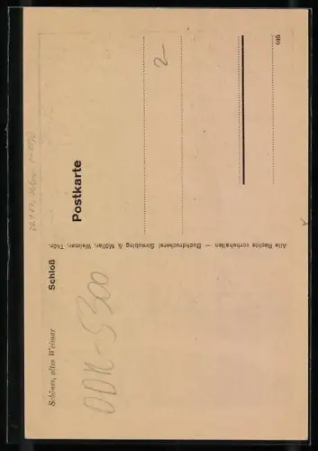 Künstler-AK Weimar / Thüringen, Schloss