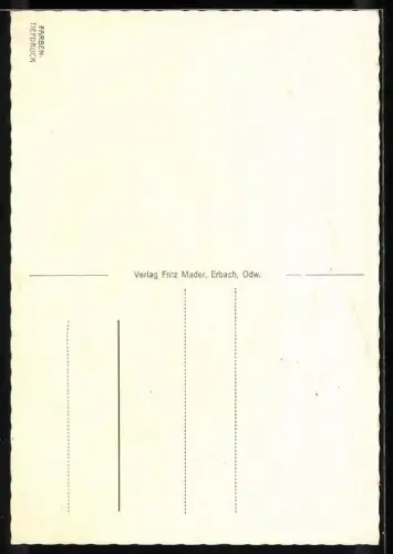 AK Erbach i. Odw., Partie an der Mümmling, Rathaus