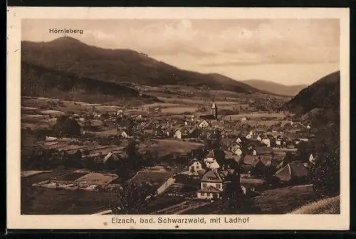 AK Elzach, Bad. Schwarzwald, Ortsansicht m. Ladhof u. Hörnleberg