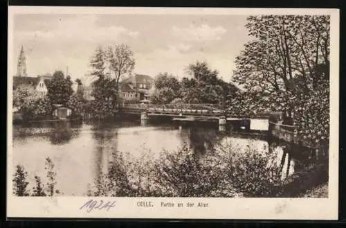 AK Celle, Partie an der Aller, Gautag D.H.V. 1924