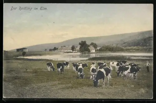 AK Reitling /Elm, Bauernhof, Weide mit Kühen, Teich
