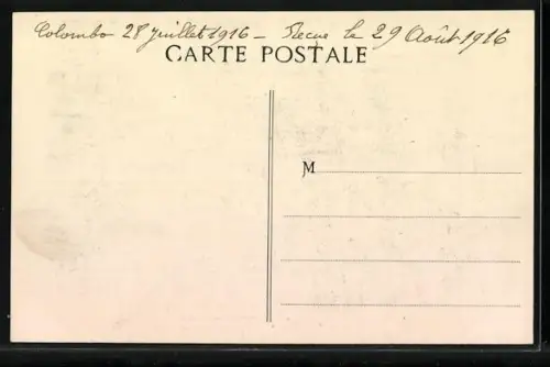 AK Wilde Elefanten im Wald