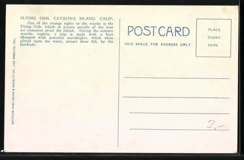 AK Catalina Island, Flying Fish, Fliegender Fisch