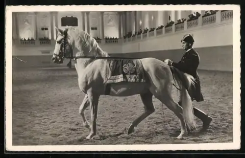 AK Wien, Spanische Reitschule, Vortführung klassischer Reitkunst