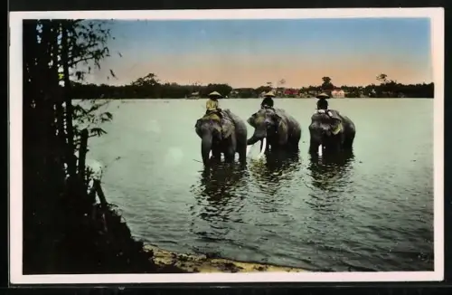 AK Drei Elefanten kühlen sich im Wasser ab