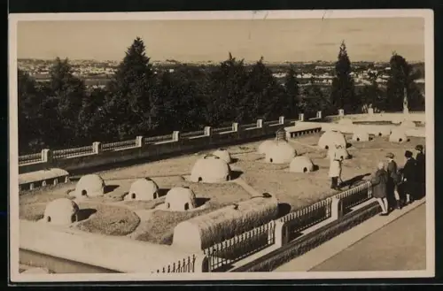 AK Sao Paulo, Schlangenfarm des Butantan Instituts