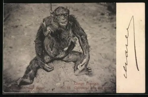 AK Weiblicher Schimpanse mit ihrem Kind