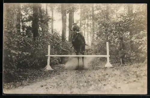 Foto-AK Pferd springt über ein Hindernis im Wald