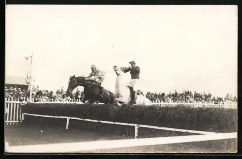 Foto-AK Reiter springen mit ihren Pferden über eine Hecke