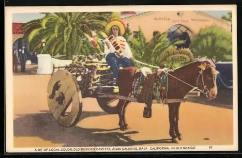 AK Mexikanischer Mann mit einem Eselgespann