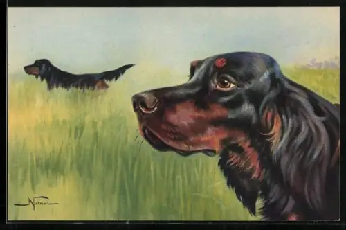 Künstler-AK Zwei Hunde im hohen Gras