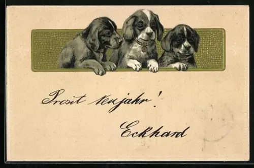 Lithographie Drei Welpen mit goldenen Halsbändern
