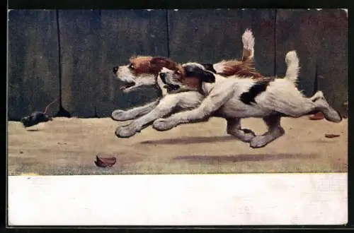 Künstler-AK Zwei Hunde jagen einer Ratte hinterher
