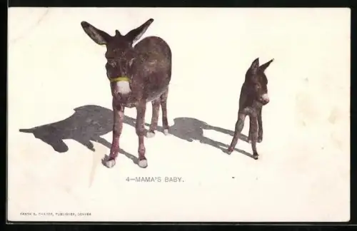 Präge-AK Esel mit ihrem Fohlen, Mama`s Baby
