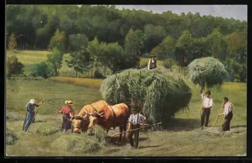 AK Heuwagen mit Ochsen