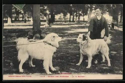 AK Mann mit zwei Pyrenäenberghunden, Chiens des Pyrénées