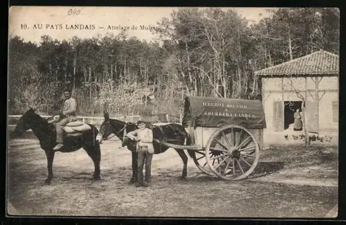 AK Zwei Männer mit einem Pferdegespann