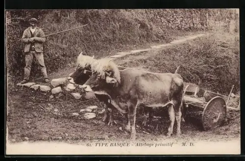 AK Mann mit einem Ochsen-Gespann
