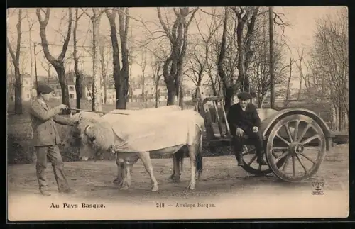 AK Zwei Männer mit einem Ochsenkarren auf einer Strasse