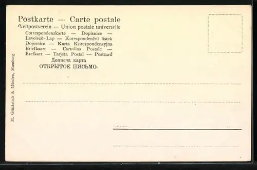 AK Junge Robbe, Blick von der Düne auf das Meer