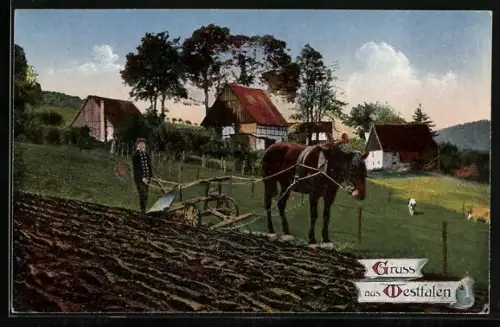 AK Westfalen, westfälischer Bauer auf dem Feld mit Pferdepflug
