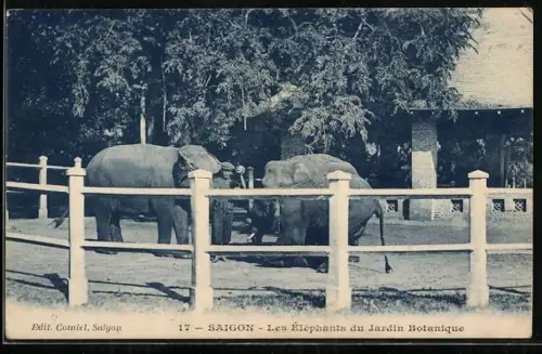 AK Saigon, Elefanten im Zoo