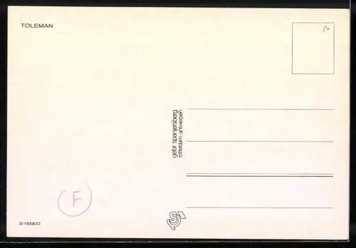 AK Toleman-Rennwagen bei einem Autorennen