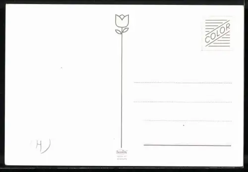 AK Rennfahrer Brambilla bei einem Autorennen