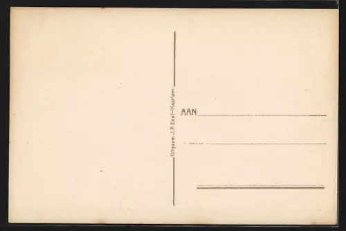 AK Haarlem, Vogelvlucht