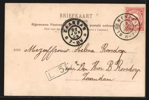 AK Haarlem, Haarlemmerhoutspark, Z. Buitenspaarne
