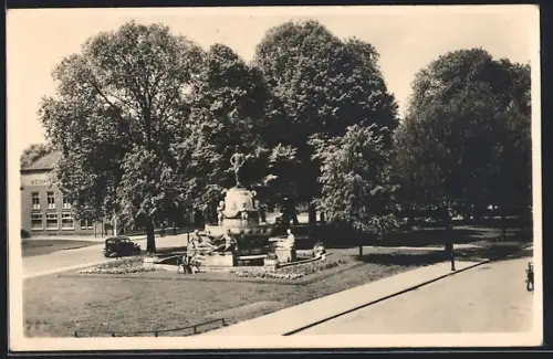 AK Leeuwarden, Zaailand