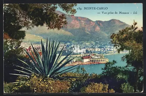 AK Monte-Carlo, Vue prise de Monaco