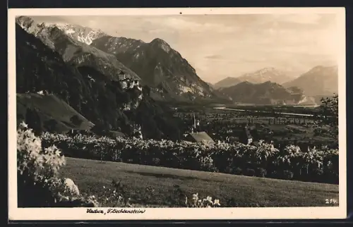 AK Vaduz, Ortsansicht mit Berpanorama