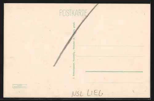 AK Liegnitz, Friedrichsplatz mit Denkmal, Panorama